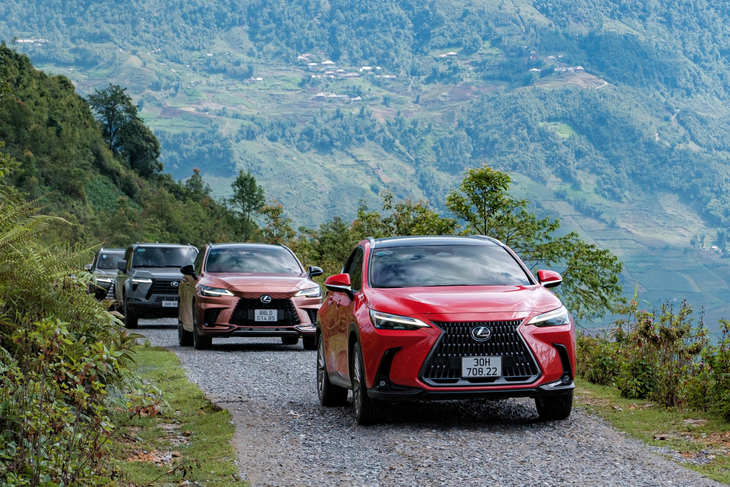 Lexus - Ảnh 7.