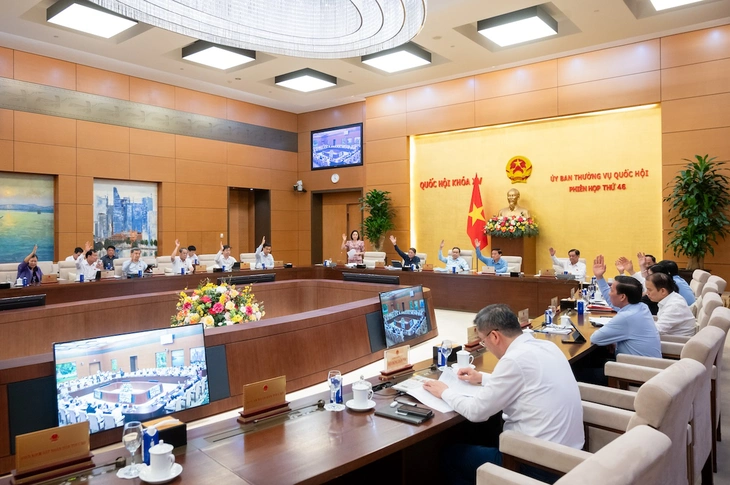 Chính thức thông qua Pháp lệnh Dân số mới: Vợ chồng được tự quyết định về số con - Ảnh 1.