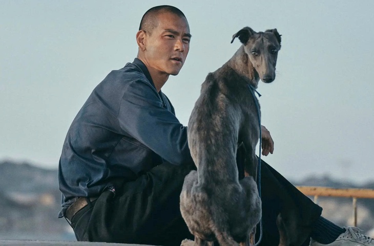 Liên hoan phim châu Á Đà Nẵng - Ảnh 1.