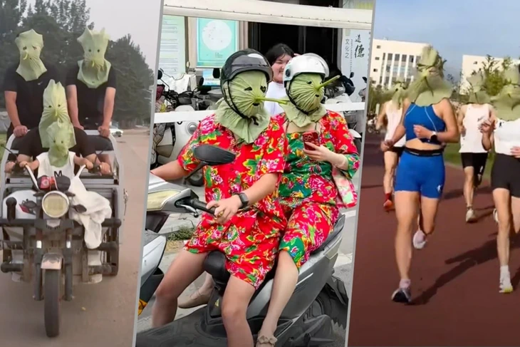 lá sen - Ảnh 2.