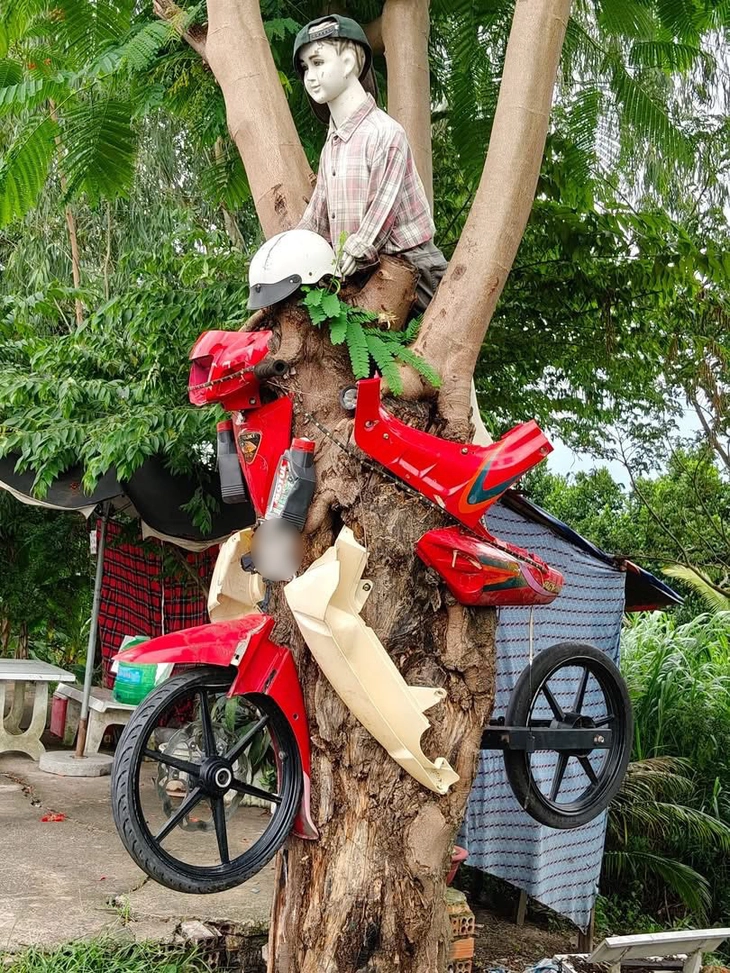 17 bẻ gãy sừng trâu - Ảnh 5.