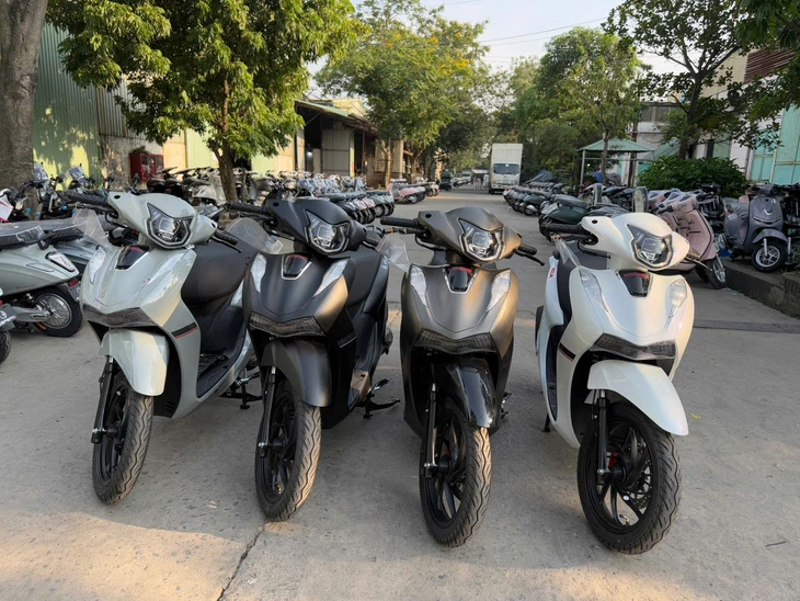 xe tay ga - Ảnh 1.