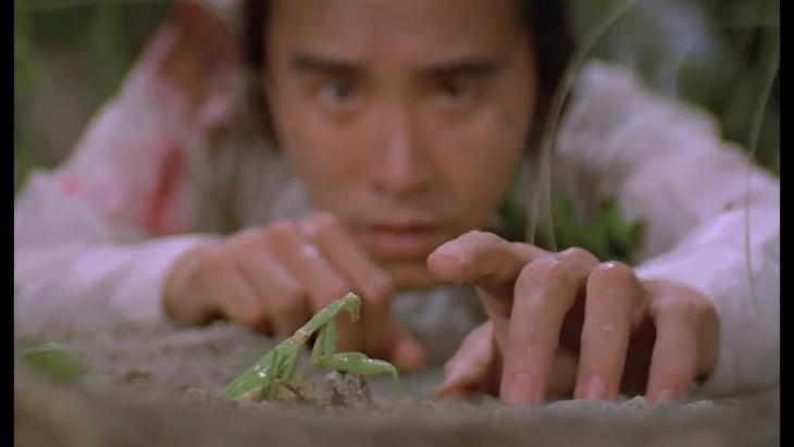 kung fu - Ảnh 4.
