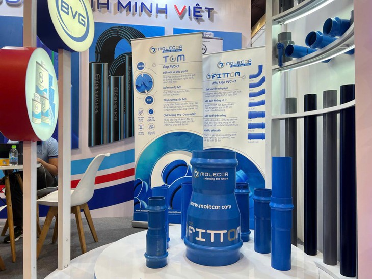 Bình Minh Việt - Ảnh 2.