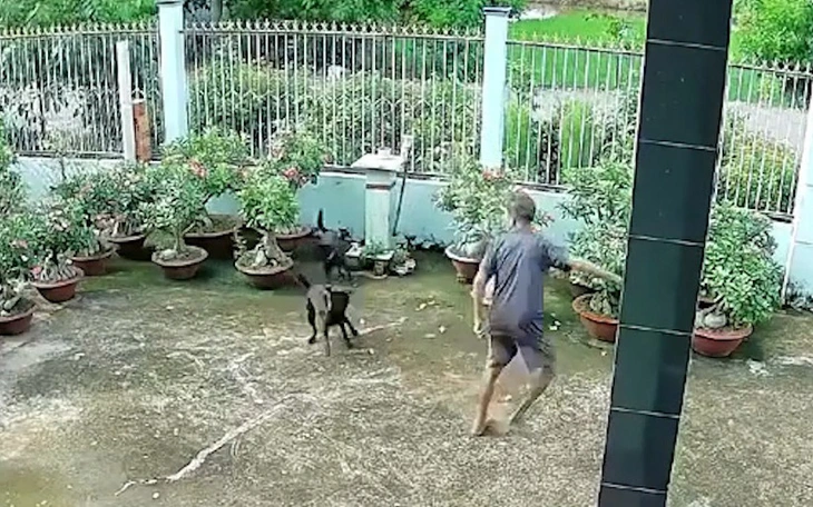 Độc lạ người đàn ông cùng chú ngỗng đi bộ xuyên Việt - Ảnh 10.