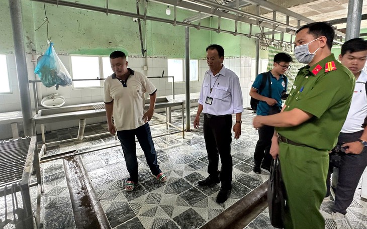 Bộ Nông nghiệp và Môi trường yêu cầu làm rõ cán bộ thú y đóng dấu kiểm dịch sai đối với heo bệnh - Ảnh 2.