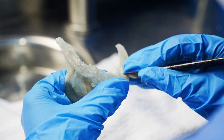 Đề xuất trình UNESCO ghi danh 'Tri thức trồng và chế biến cà phê Đắk Lắk' - Ảnh 4.