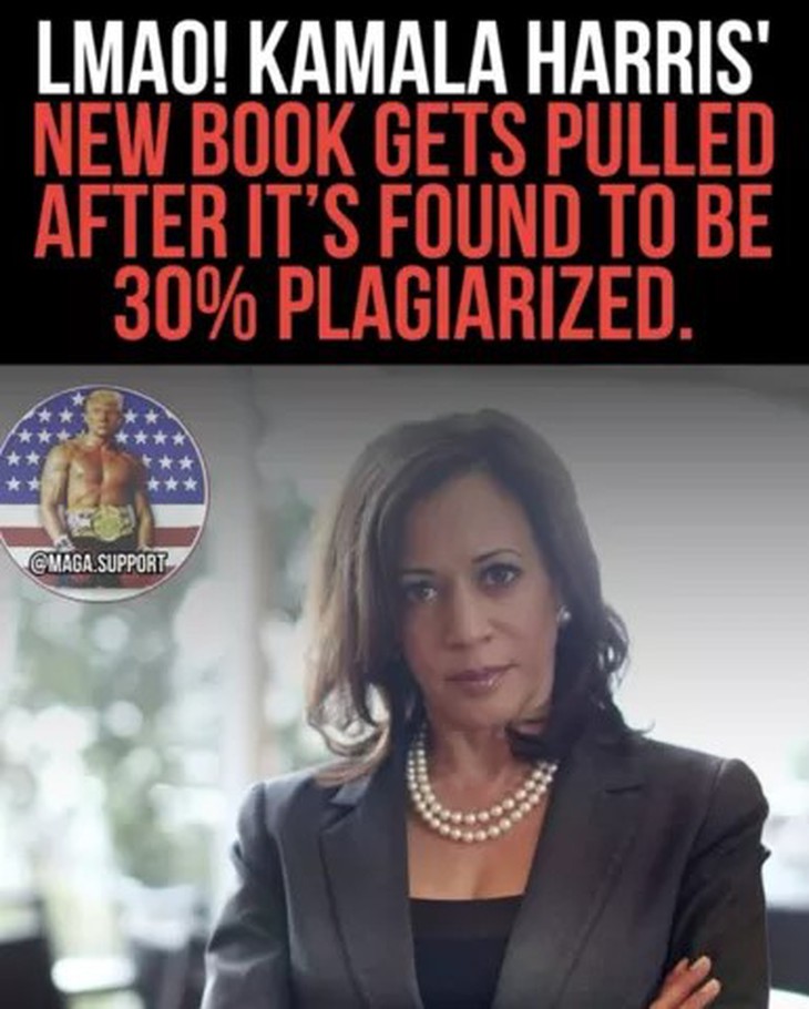 Sách của cựu phó tổng thống Mỹ Kamala Harris có bị thu hồi như tin đồn? - Ảnh 2. Kamala Harris - Ảnh 2.