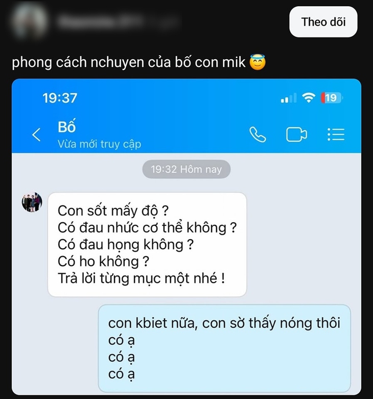 mèo - Ảnh 6.