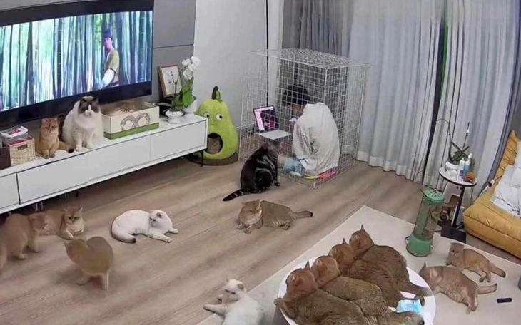 Trào lưu 'ôm trai đẹp' để chữa lành - Ảnh 4.