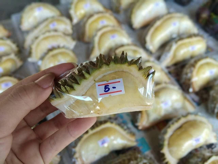 mèo - Ảnh 4.