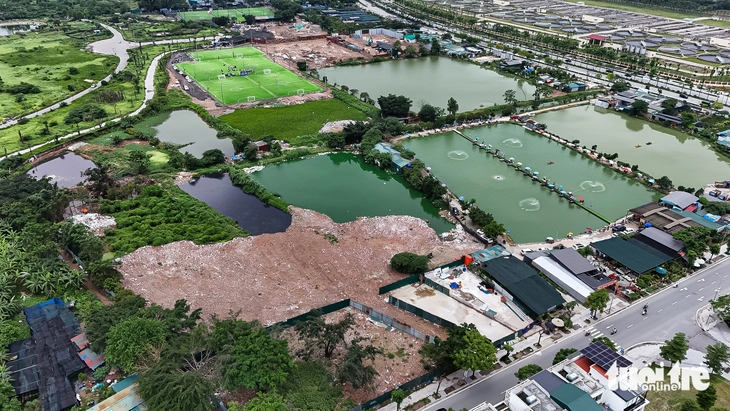 nông nghiệp - Ảnh 10.