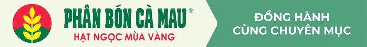 PVCFC - Ảnh 7.