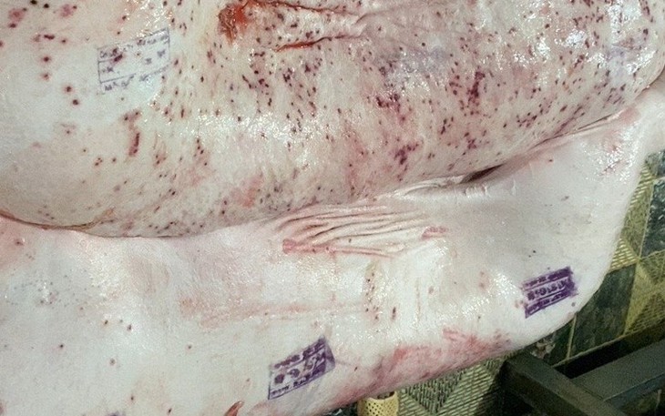 Hậu Giang phúc đáp gì cho Sóc Trăng vụ thịt heo C.P? - Ảnh 2.