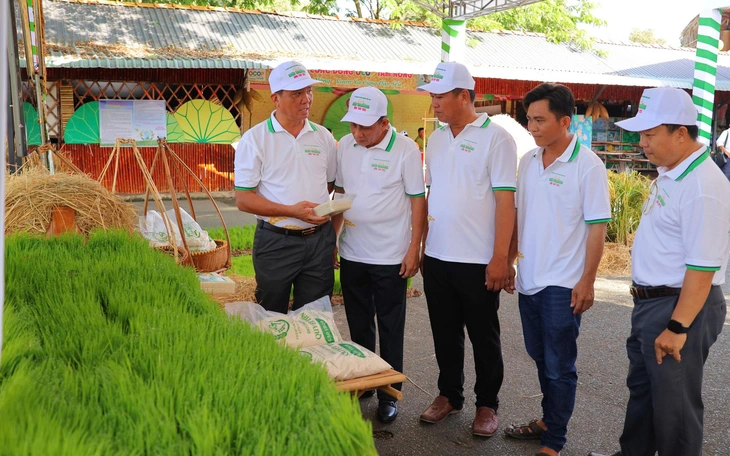 Dân hào hứng tìm hiểu mô hình tái chế và biến rác thải thành vật dụng hữu ích - Ảnh 6.