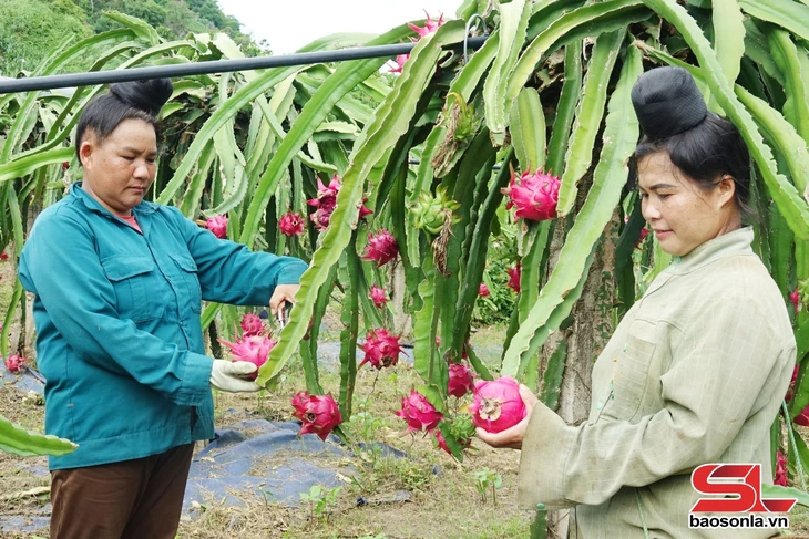 Ứng dụng công nghệ vào sản xuất - Ảnh 3.