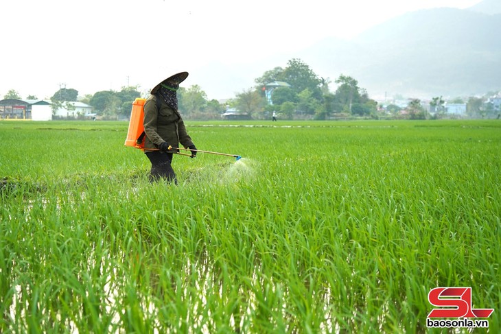 nông nghiệp hữu cơ - Ảnh 2.