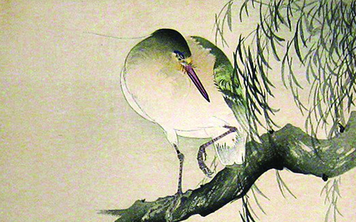 Tái phát hiện vạc hoa ở Ba Bể sau hơn một thập niên - Ảnh 4.