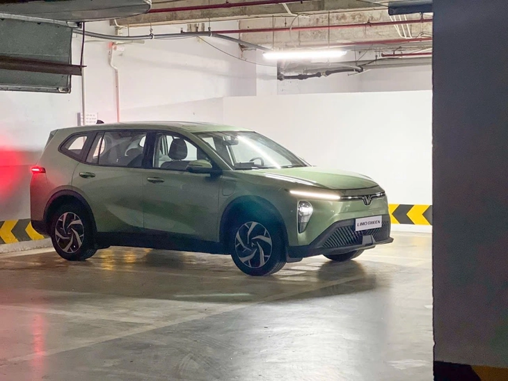 VinFast Limo Green - Ảnh 1.