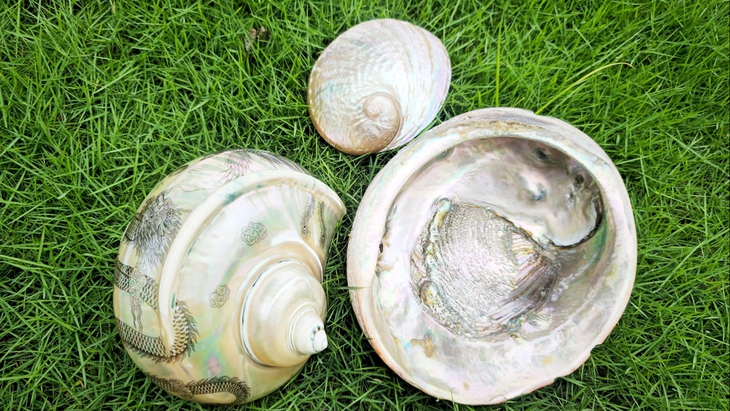 trang sức - Ảnh 2.