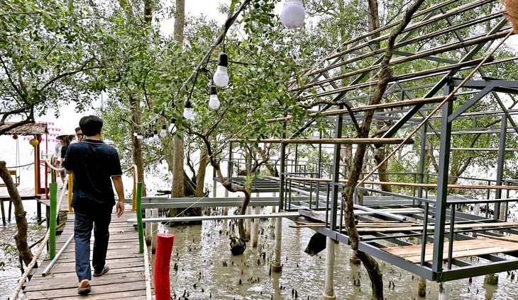 'Xẻ thịt' đất rừng phòng hộ để làm quán nhậu - Ảnh 2.