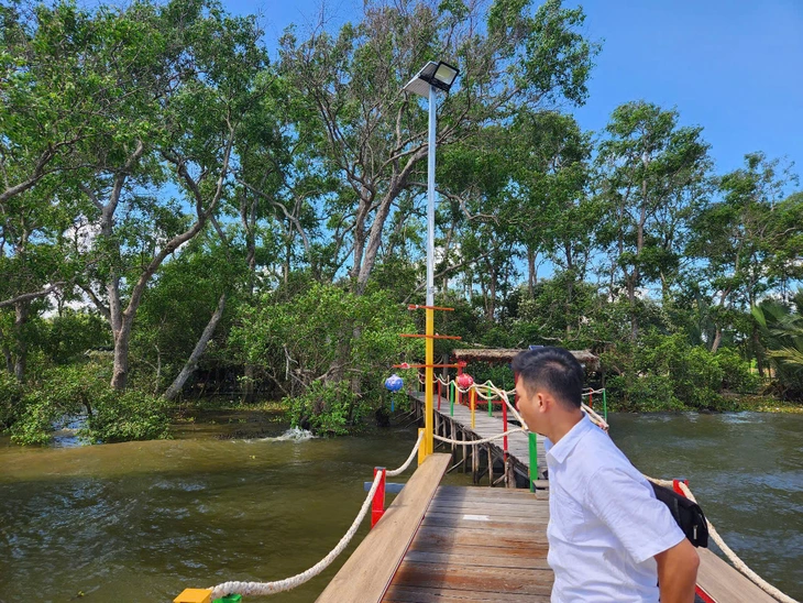 xẻ thịt đất rừng phòng hộ - Ảnh 4.