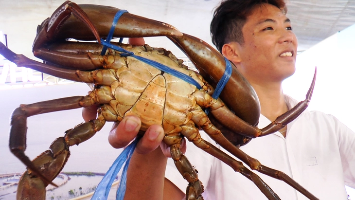 cua Cà Mau - Ảnh 1.