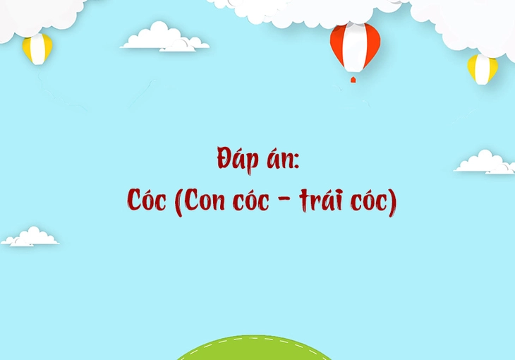 câu đố - Ảnh 4.