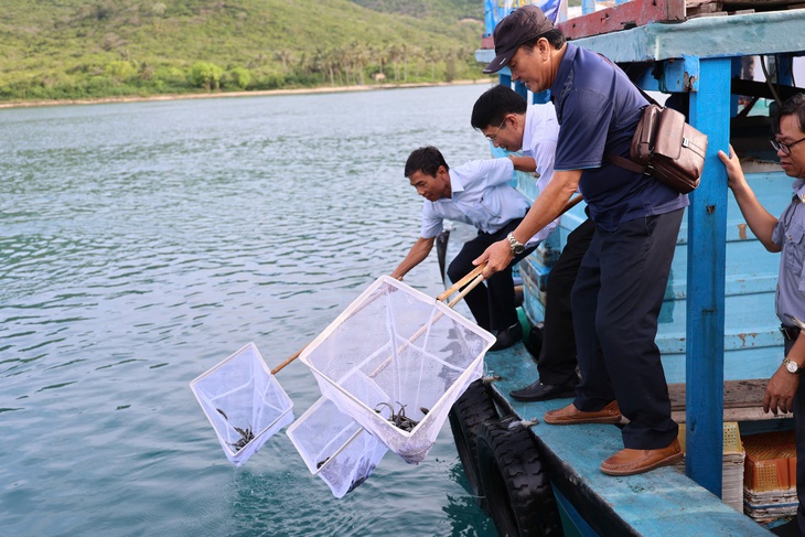 Thả cá ra vịnh Nha Trang tái tạo nguồn lợi thủy sản - Ảnh 1. Thả hơn 400.000 cá, tôm giống tái tạo nguồn lợi thủy sản vịnh Nha Trang - Ảnh 1.