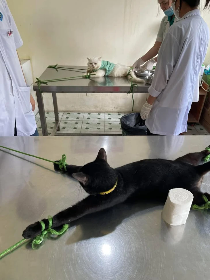 điện thoại - Ảnh 5.