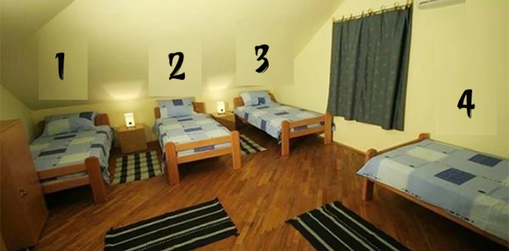 Quiz - Ảnh 1.
