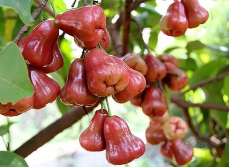 câu đố - Ảnh 4.