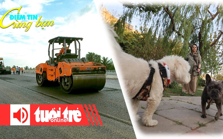 Cầu Rạch Miễu 2 đã hoàn thành 95% - Ảnh 5.