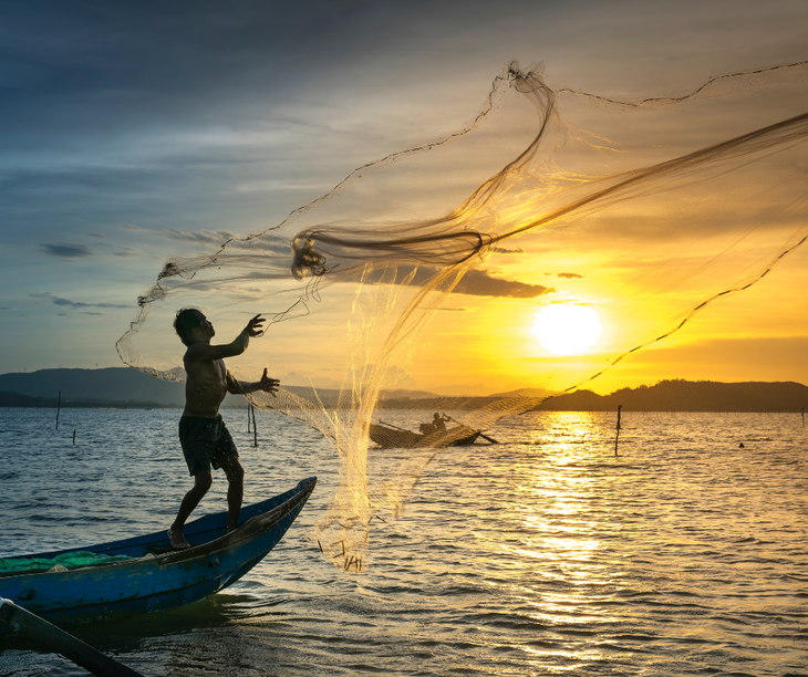 'Quả bom hẹn giờ' dưới biển: Đại dương đang axit hóa vượt ngưỡng an toàn toàn cầu - Ảnh 3.