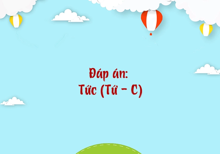 câu đố - Ảnh 4.