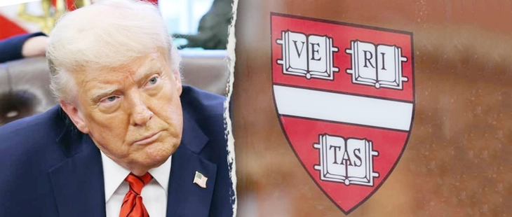 Harvard - Ảnh 1.
