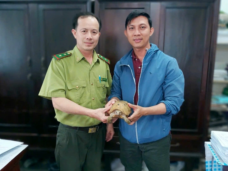 rùa núi vàng - Ảnh 1.
