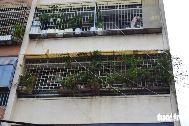 chuồng cọp - Ảnh 2.