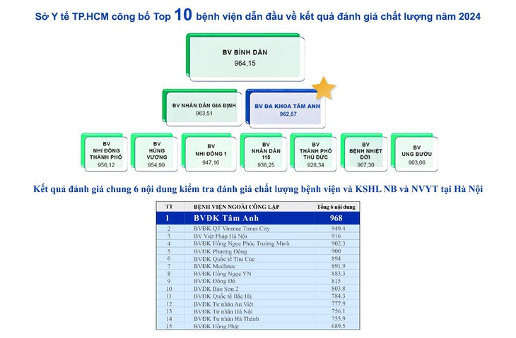 Tâm Anh - Ảnh 3.