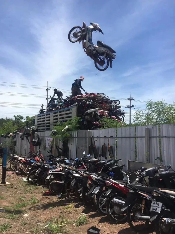 trứng - Ảnh 2.