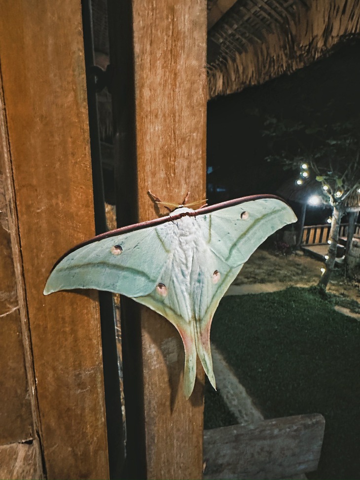 Gia đình Haha - Ảnh 4.