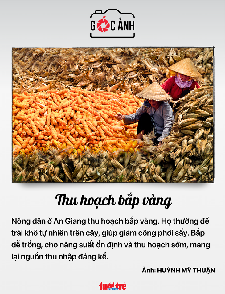 chứng khoán - Ảnh 7.