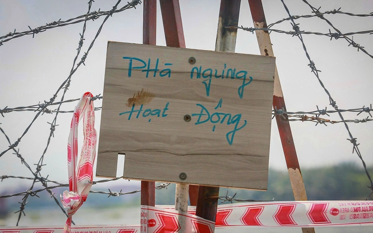 Nên khôi phục lại phà Bình Quới - Ảnh 2.