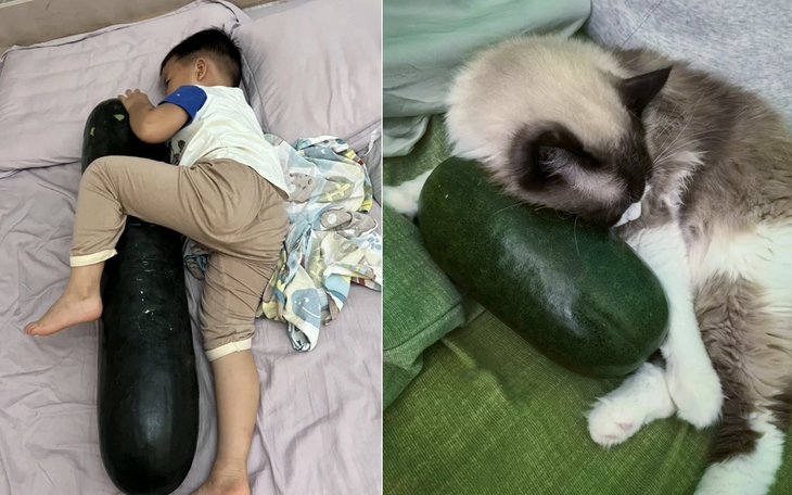 Tun Phạm - nam TikToker đóng thuế 500 triệu/tháng bị réo tên - Ảnh 4.