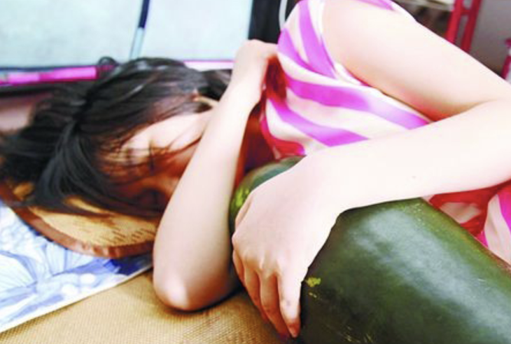 bí đao - Ảnh 2.