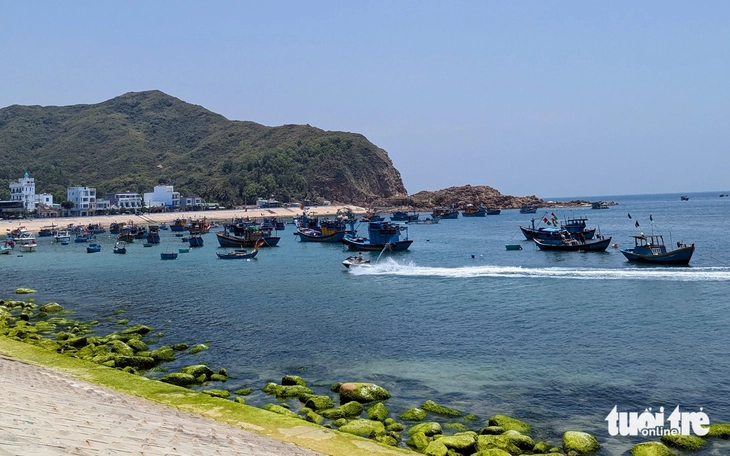 Gia Lai cấm 650 tàu cá không đủ điều kiện ra khơi đánh bắt- Ảnh 1. Gia Lai cấm 650 tàu cá không đủ điều kiện ra khơi đánh bắt- Ảnh 1.