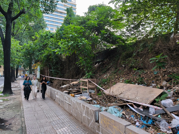 Đinh Trường Chinh - Ảnh 2.