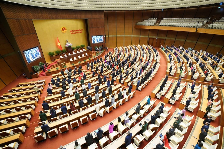 Quốc hội - Ảnh 1.