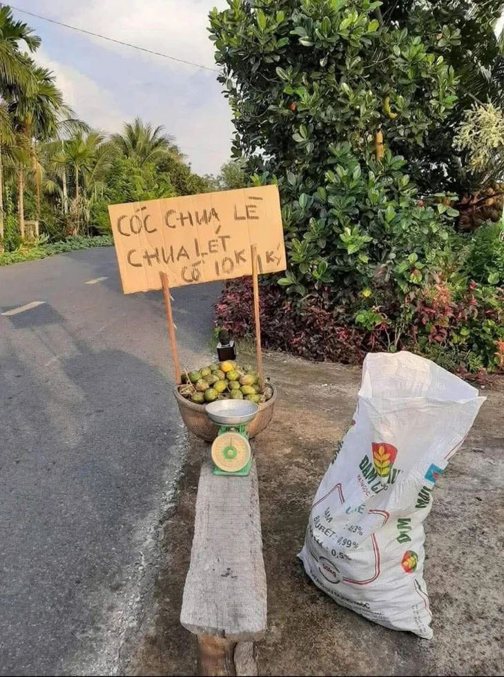 sinh viên - Ảnh 2.