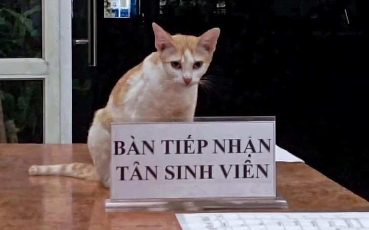 Bị đuổi việc vì... hôi nách - Ảnh 2.
